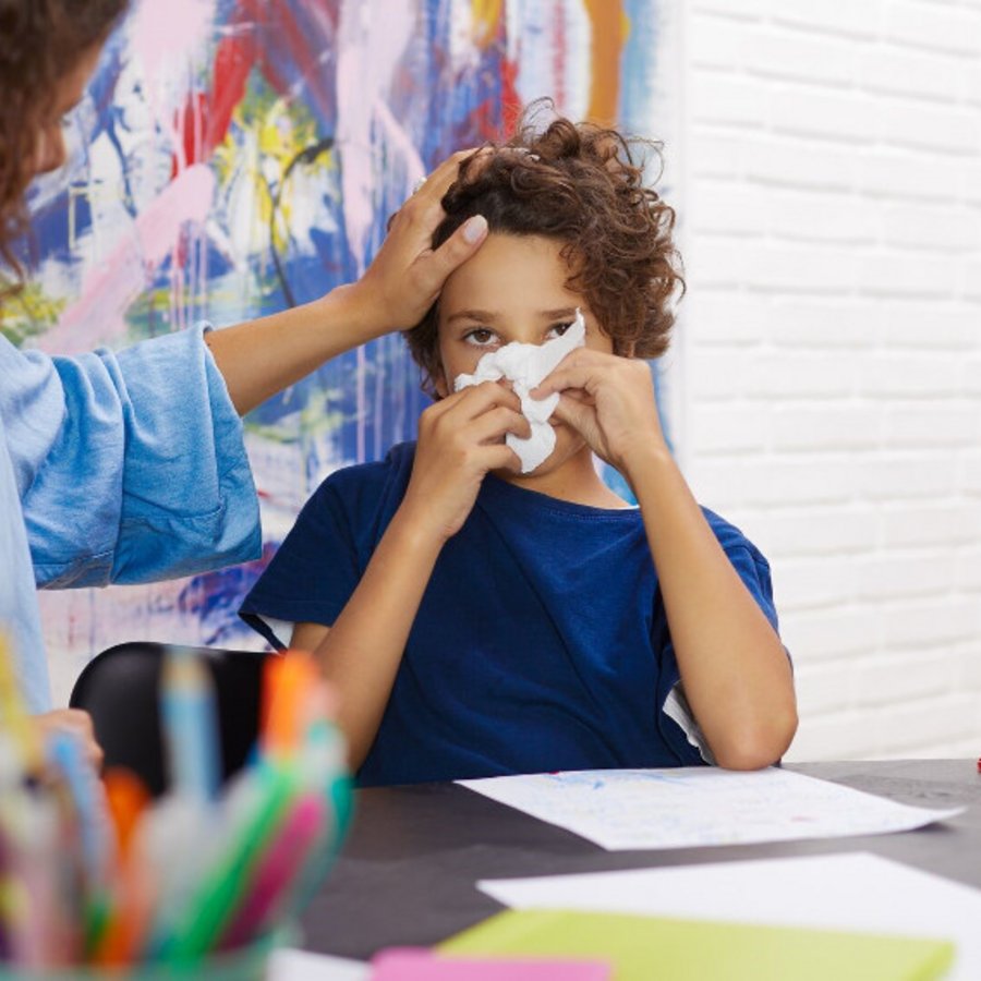 ALK Birkenpollen im Anflug