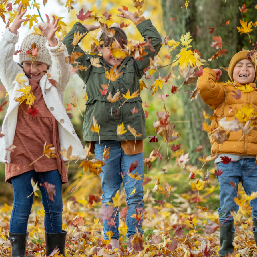 Waldzauber im Herbst – Herbst-Bingo für die ganze Familie