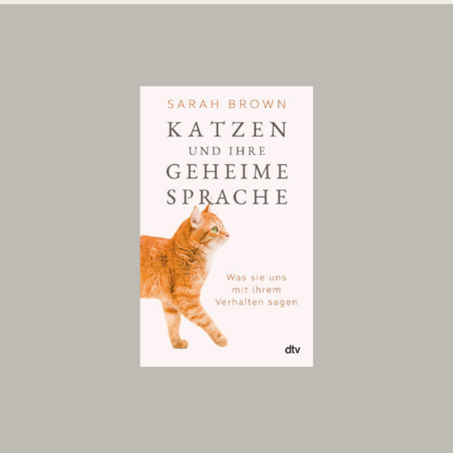 Buch-Tipp: Katzen und ihre geheime Sprache